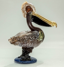Brown Pelican / Main Image